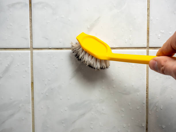 Best Mold Remediation for Schools in Lincolnshire, IL