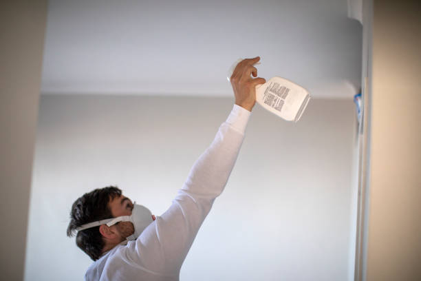 Best Black Mold Remediation in Lincolnshire, IL