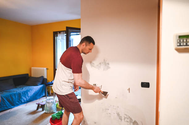 Best Localized Mold Remediation (e.g., coastal areas, humid climates) in Lincolnshire, IL